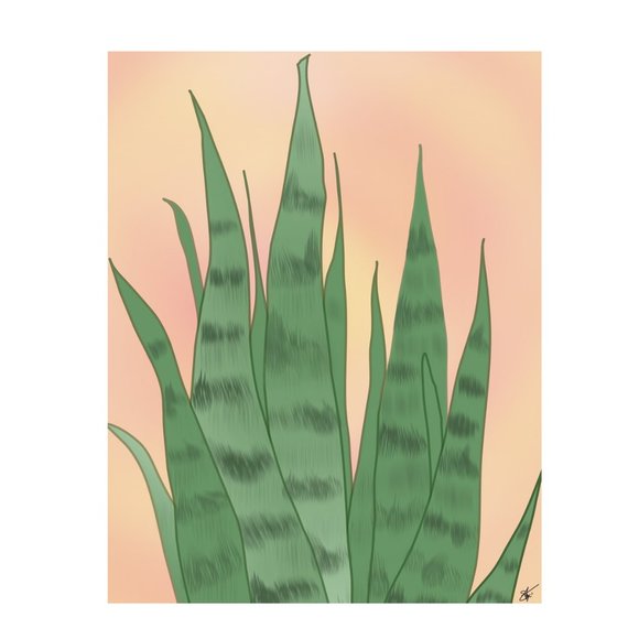 Snake Plant Sansevieria Mother's Tongue Orignal Print Graphic Drawing 5x7 - Picture 2 of 5